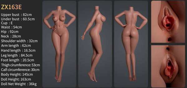 Zelex silicone sex doll SLE series 163cm E-cup (ZX163E) The picture show the new Zelex 163cm E-cup from 3 different angles. Also include all measurements for this silicone body. Zelex is an professional doll manufacturer.