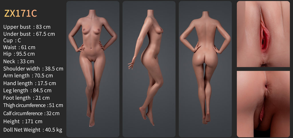 Zelex silicone sex doll SLE series 171cm C-cup (ZX171C) The picture show the new zelex 171cm C-cup from 3 different angles. Also include all measurements for this silicone body. Zelex is an professional doll manufacturer.