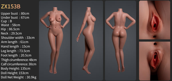 Zelex silicone sex doll SLE series 153cm B-cup (ZX153B) The picture show the new Zelex 153cm B-cup from 3 different angles. Also include all measurements for this silicone body. Zelex is an professional doll manufacturer.