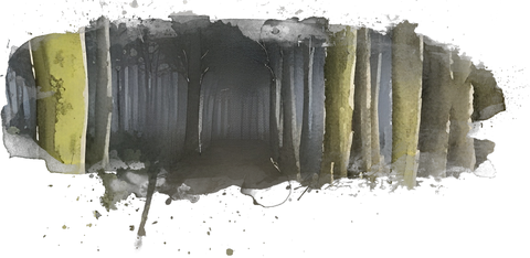 A dark, creepy pine forest that the party must travel through, filled with monsters and random encounters, D&D 5e