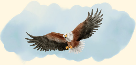 DnD Druid Wildshaping into a flying creature, in this case an eagle