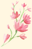 A watercolor flower