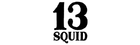 13 SQUID