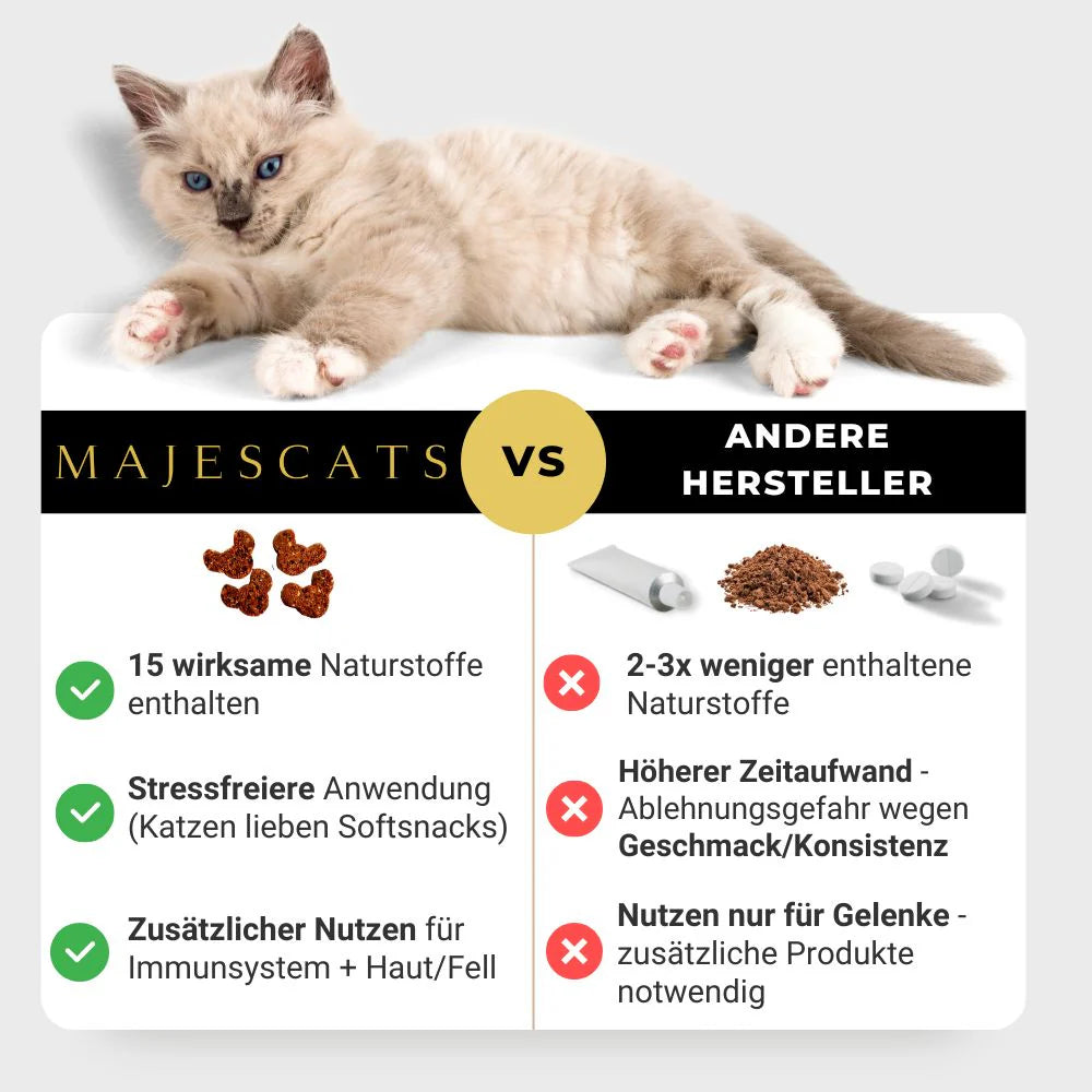 majescats_vergleichstabelle.webp__PID:ffa8d0ba-782a-4785-9dd6-bf99c9d61263