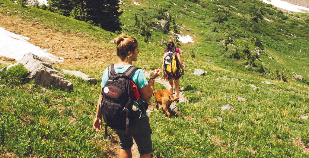 backpack for picnic