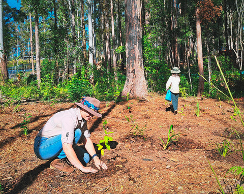 Planting Trees