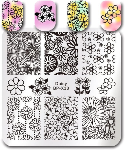 BORN PRETTY Nail Art Stamping Plate - DAISY BP-X38 | Venus Nail Art Supplies Australia