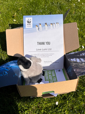 adopt a penguin alternative gift idea