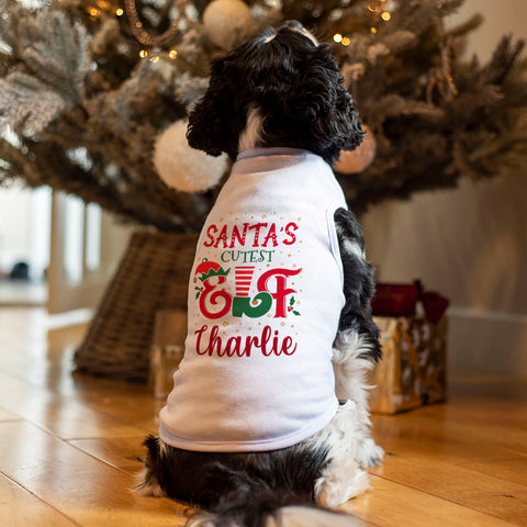 christmas dog outfit