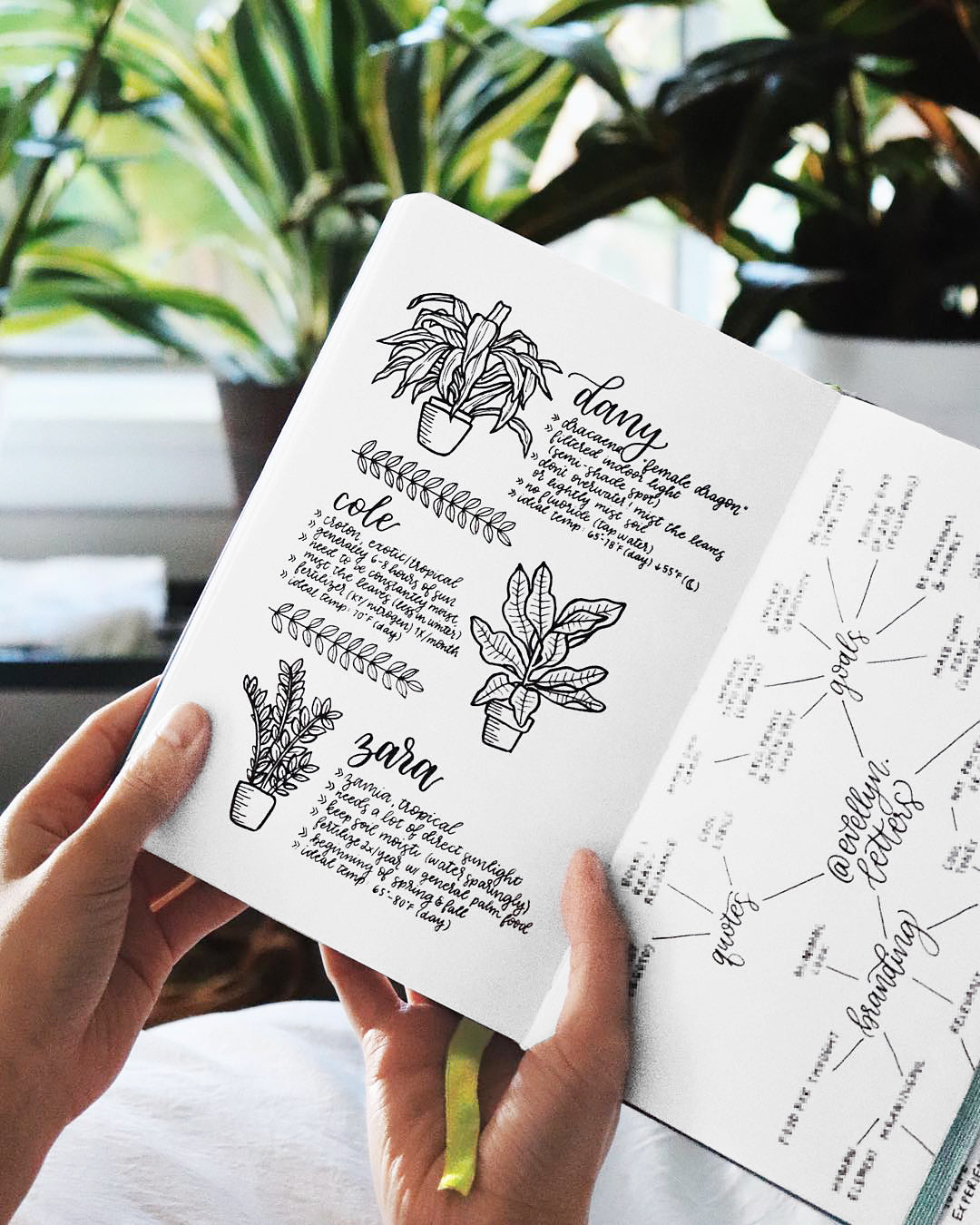 Lettering Practice in Passion Planner
