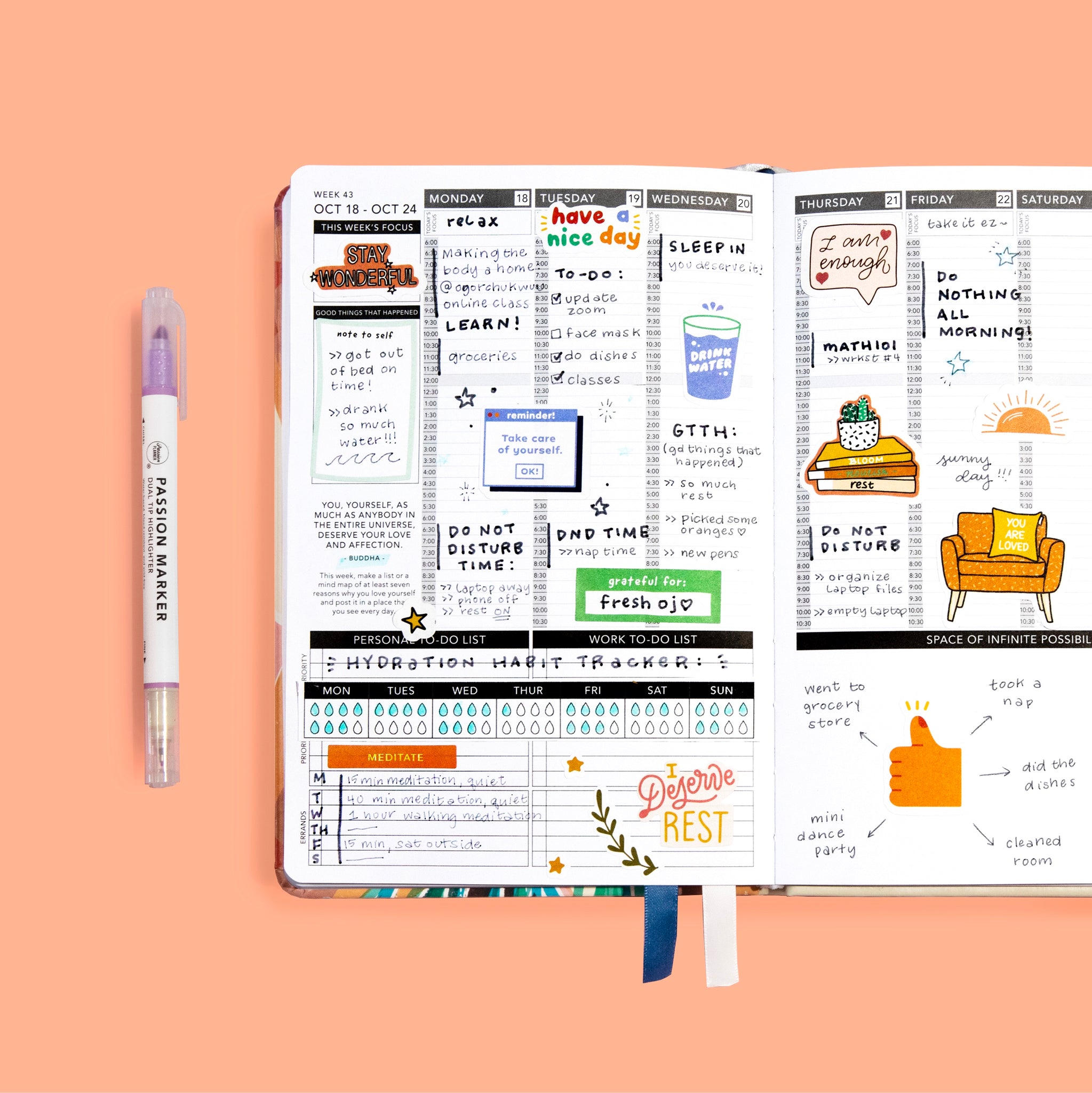 Passion Planner Weekly Layout Filled Out with Self-Care Activities and Water Tracker