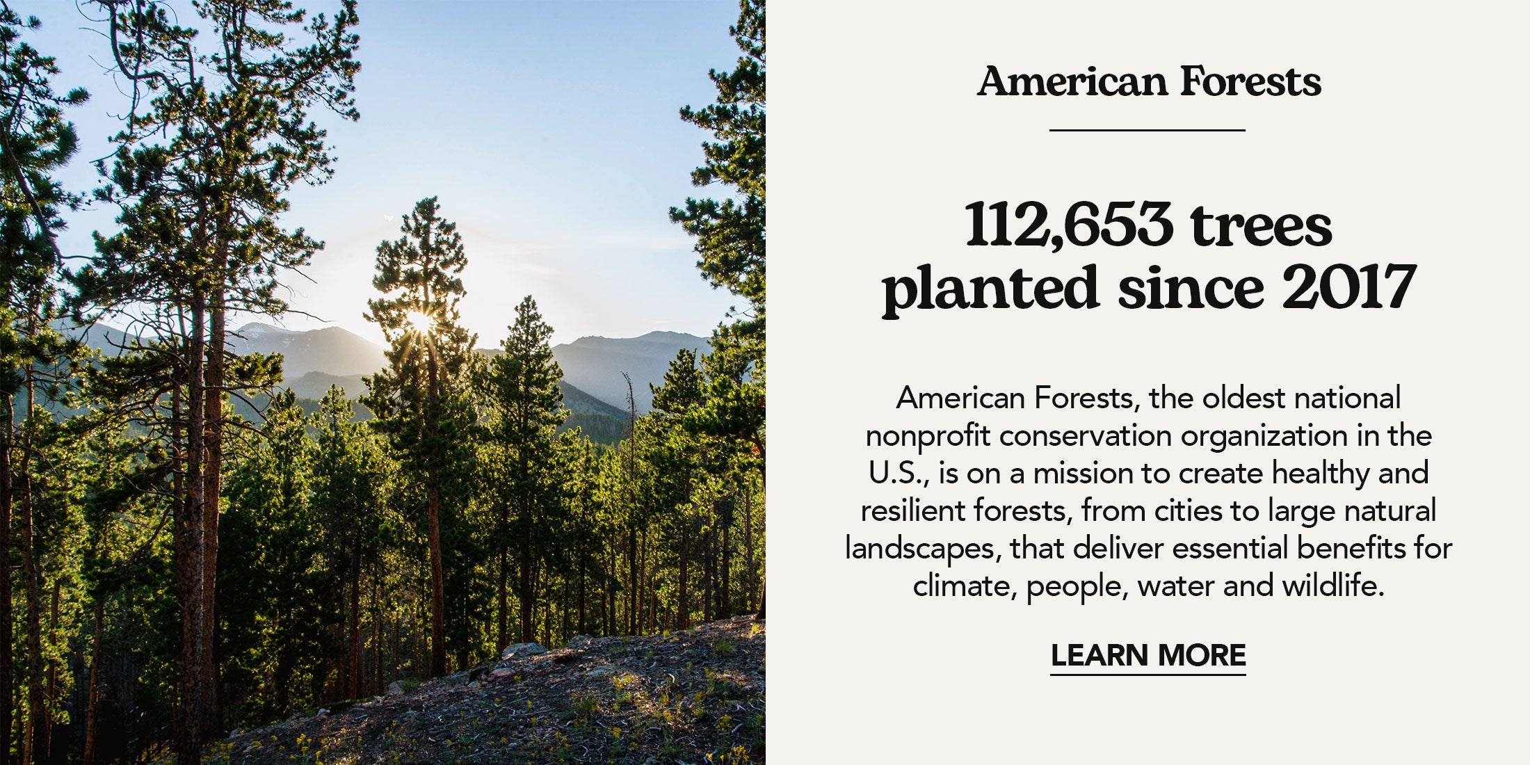 American Forests