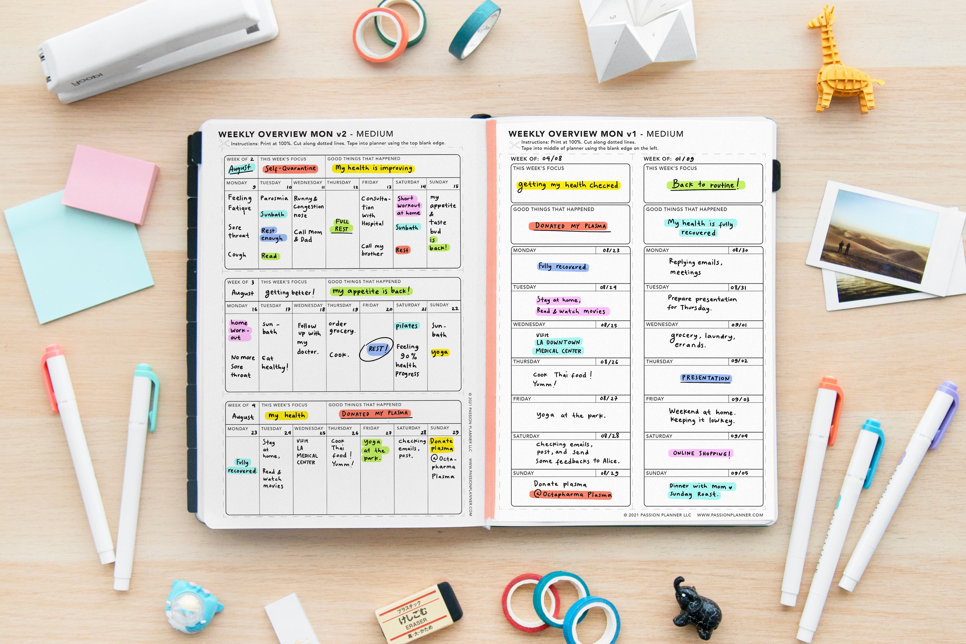 Weekly Overview Free Printable Passion Planner