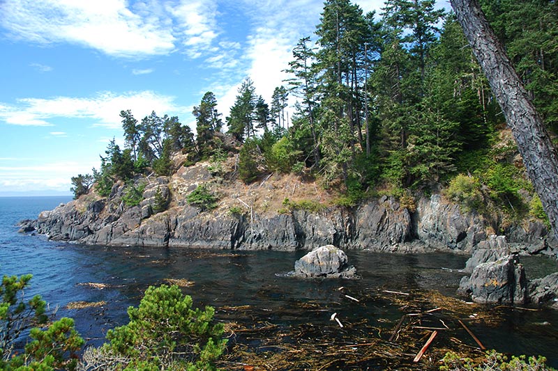 coast trail