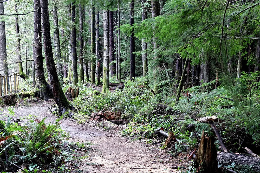 seal bay nature park