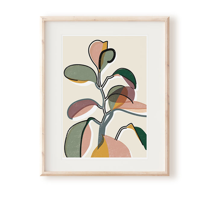 Baby Rubber Plant II Art Print - Rachel Mahon Print