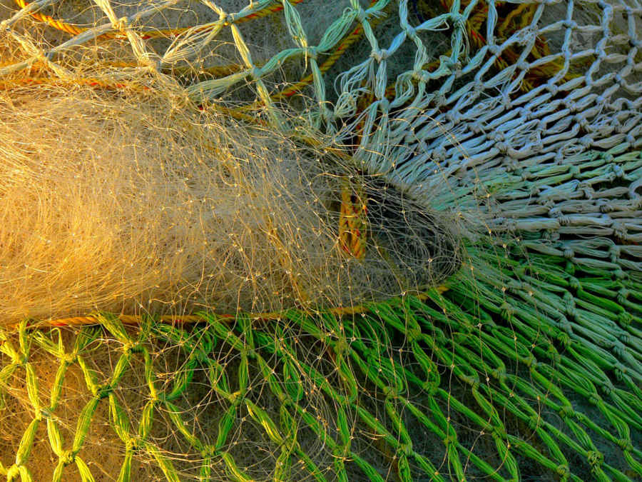 fishing nets can be made into econyl, a sustainable regenerated nylon fabric
