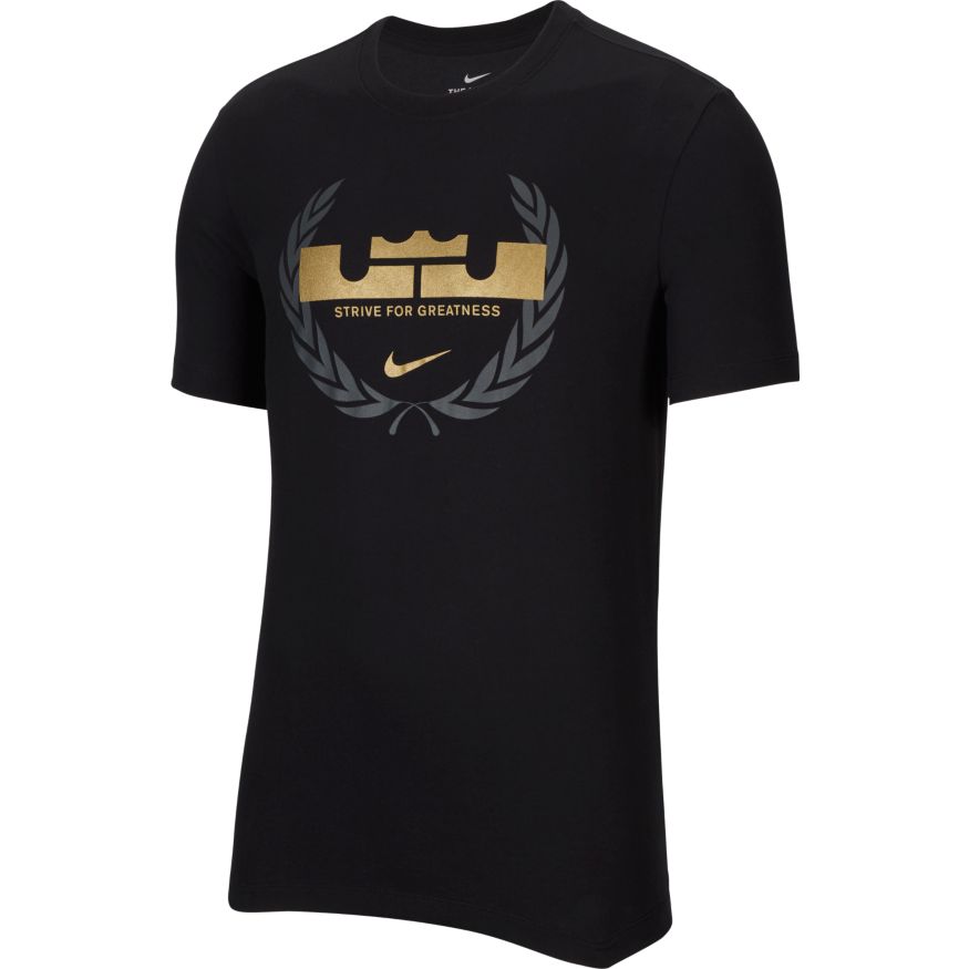 lebron logo t shirt