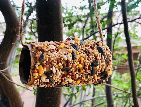 Bird Feeder made with toilet paper tube