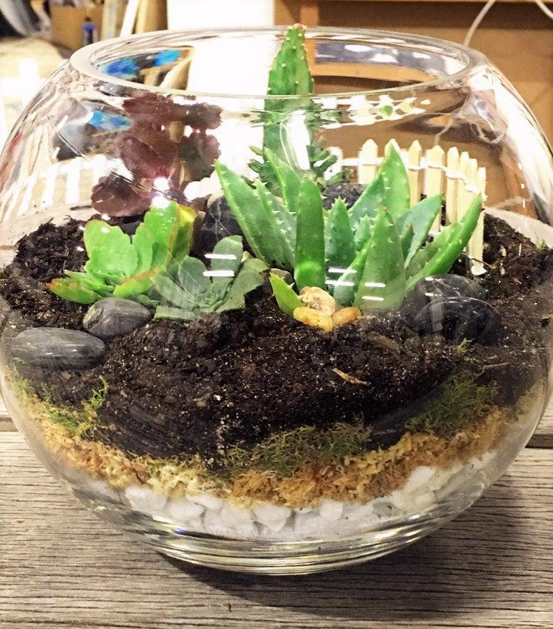 Terrarium Gift Ideas – Flower Lane & Co