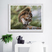 Load image into Gallery viewer, Squirrel - Full Round Drill Diamond Painting - 30x40cm(Canvas)
