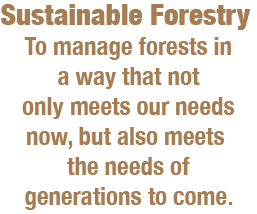 Sustainable Forestry - To manage forests in a way that not only meets our needs now, but also meets the needs of generations to come.