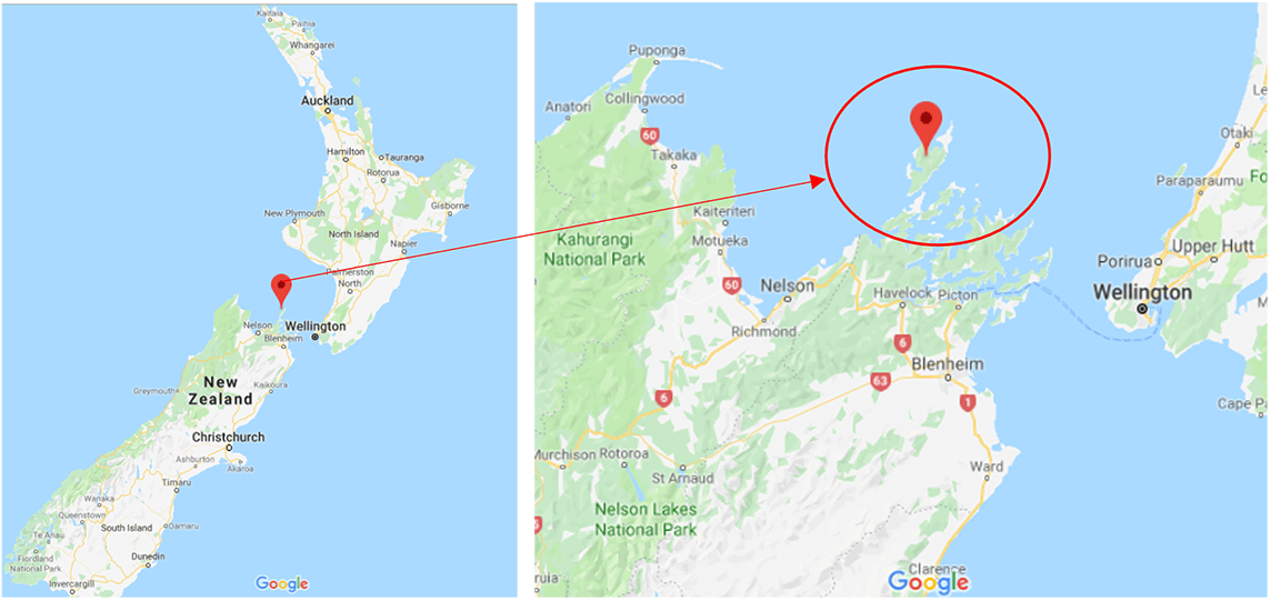 150 km² kleine Insel D‘Urville im Norden der neuseeländischen Südinsel