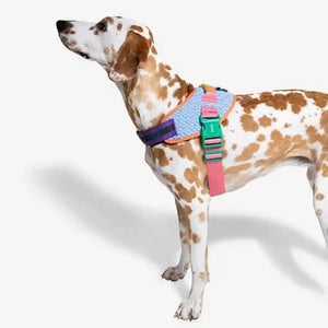 FlyHarness Dog Harness - MiAMORE PETS
