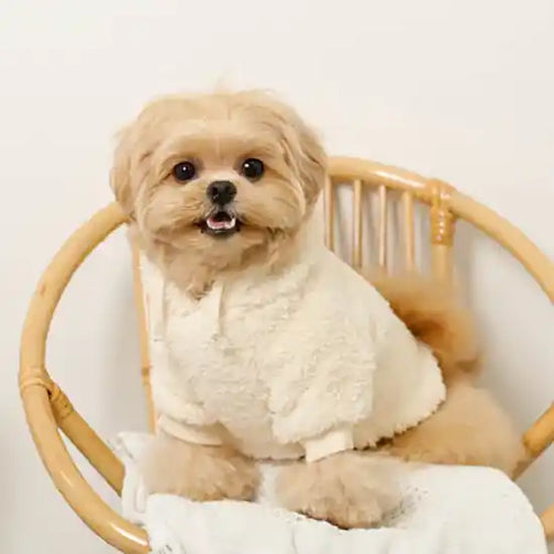 moncheri ivory pompom dog hoodie with hood down on dog