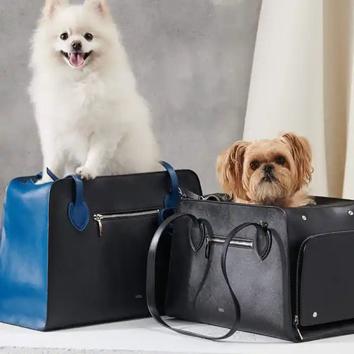 two dogs in shaya leather carriers 