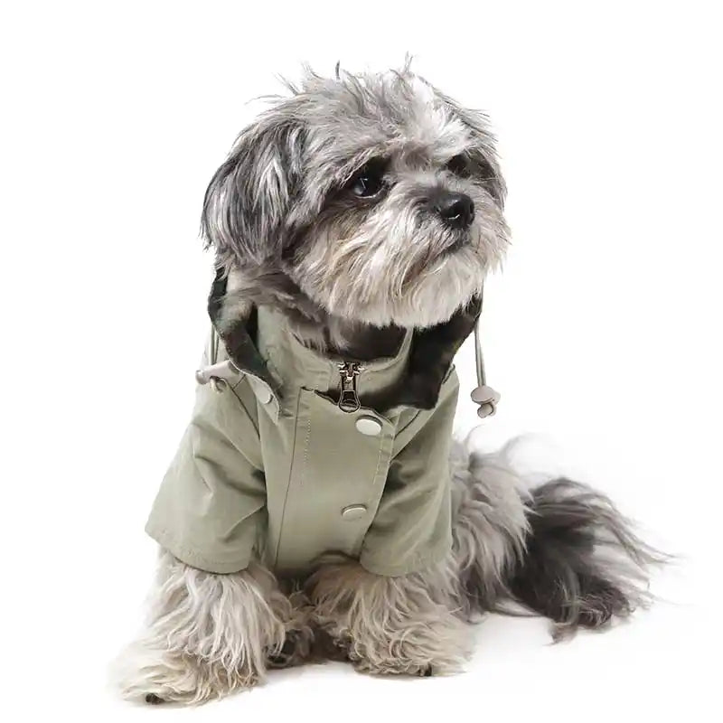 Metallic Bomber Dog Jacket | Stylish Pet Apparel