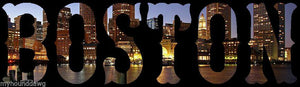 Custom Printed Skyline of Boston Hoodie, Boston Skyline Sweatshirt