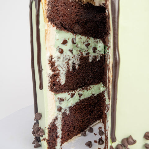 Mint Chocolate Chip Ice Cream Cake