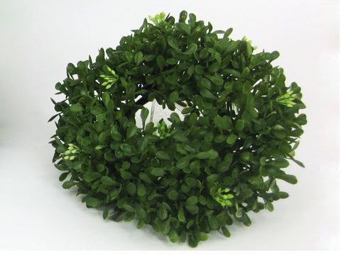 Ruscus-Kranz 40 cm – Camandus