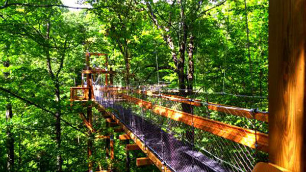 rainforest stain arboretum walking bridge