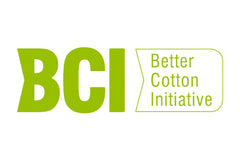 BCI logo, green text on white background.