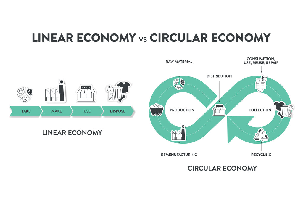 Linear v circular business models explained