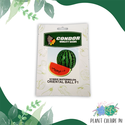 Condor Quality Seeds Hybrid Watermelon Oriental Ball F1 2 grams