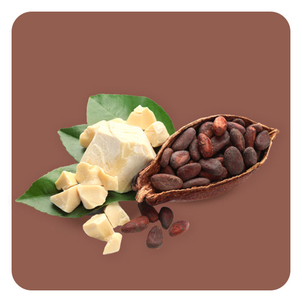 Ingredients of Cocoa Gentle Smoothing Face Exfoliate