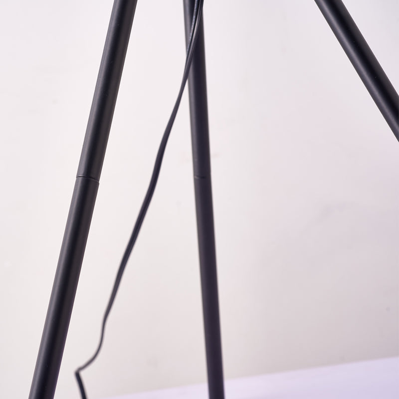 Modern Floor Lamp Nordic Iron Tripod-Standing & Tan Glass