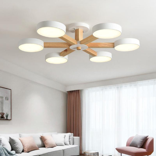 circular pendant chandelier.jpg