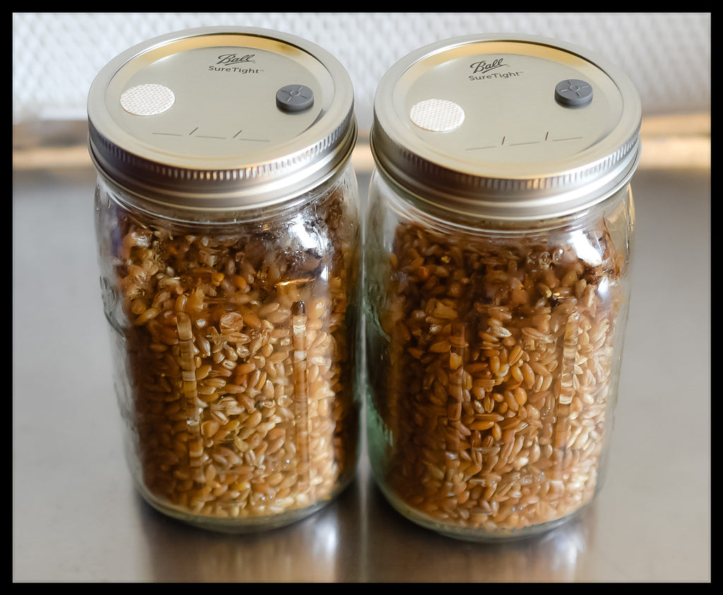 Three 6 oz. Jars – Toomey's Seasoning