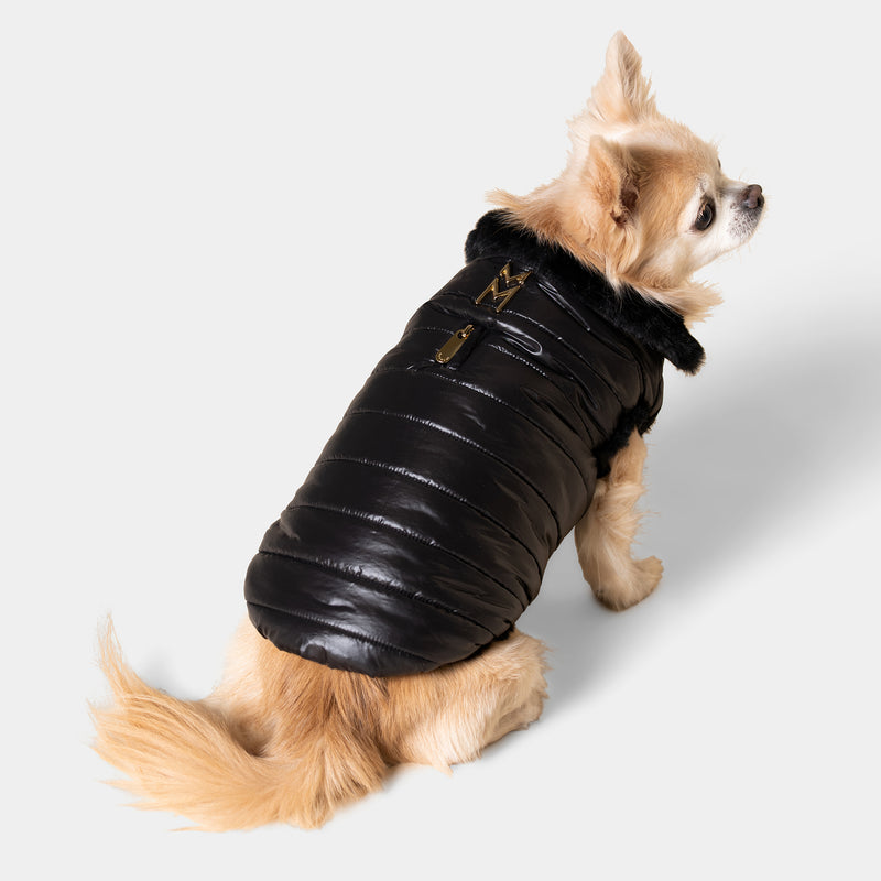 dog bubble jacket