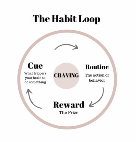 This is a habit loop, with three main components consisting of a cue leading to a routine, leading to the reward, and the cycle repeats. This is what a craving loop looks like.