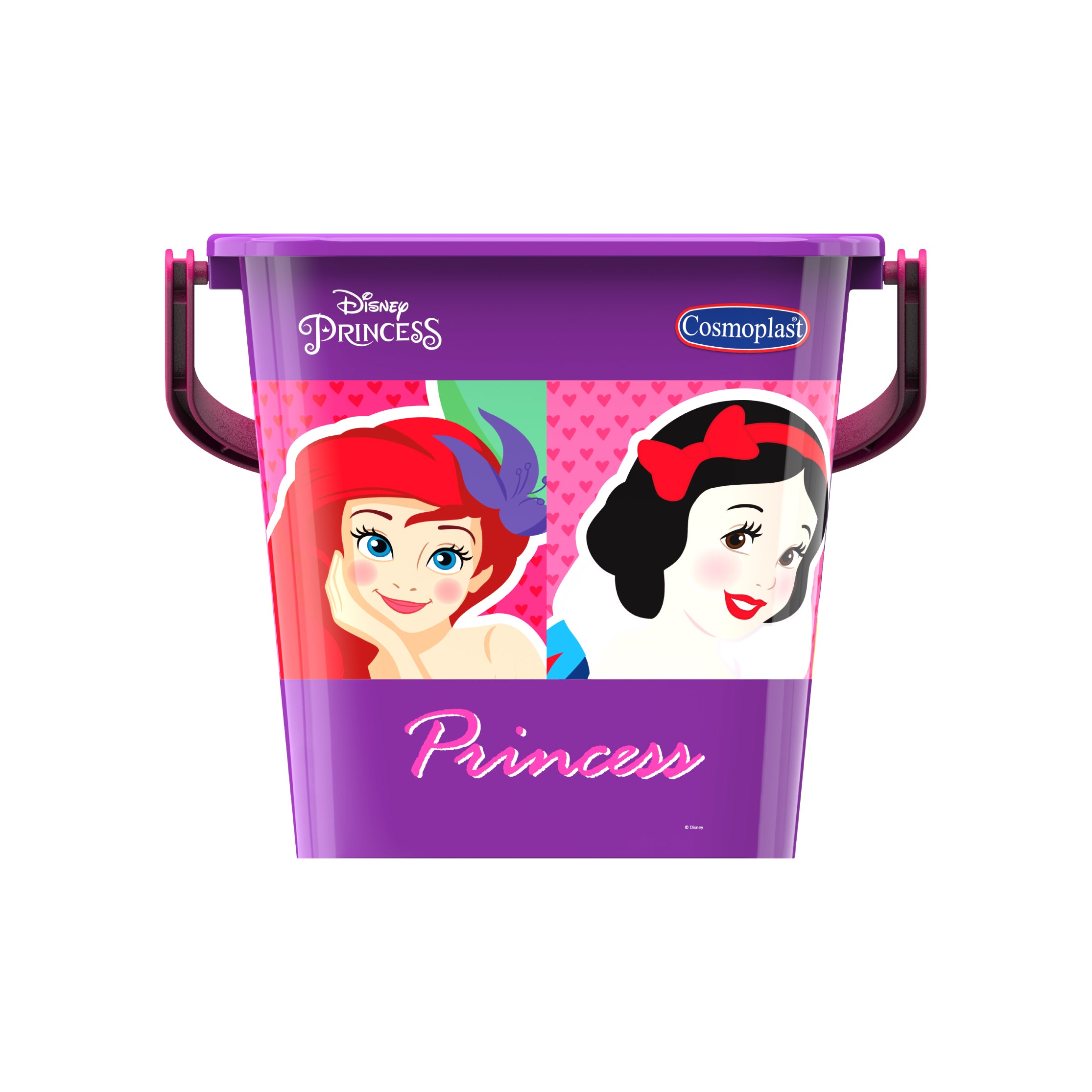 Disney Princess Square Lunch Tote