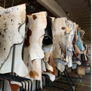 cowhide rugs in a showroom