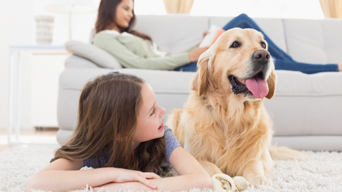 dog on rug