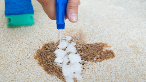 pet stain on carpet