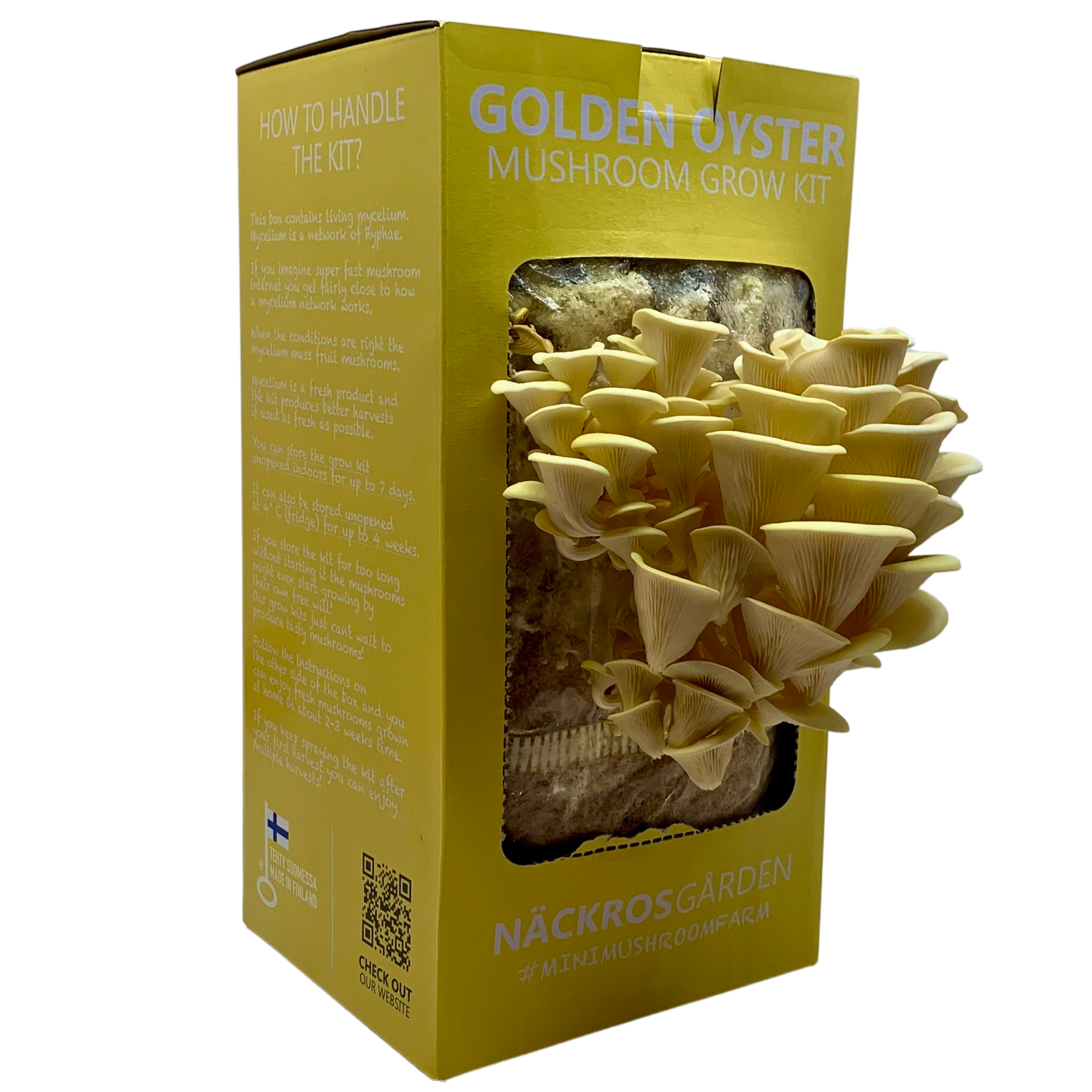 Näckrosgården – Keltainen osterivinokas -kasvatuspaketti
