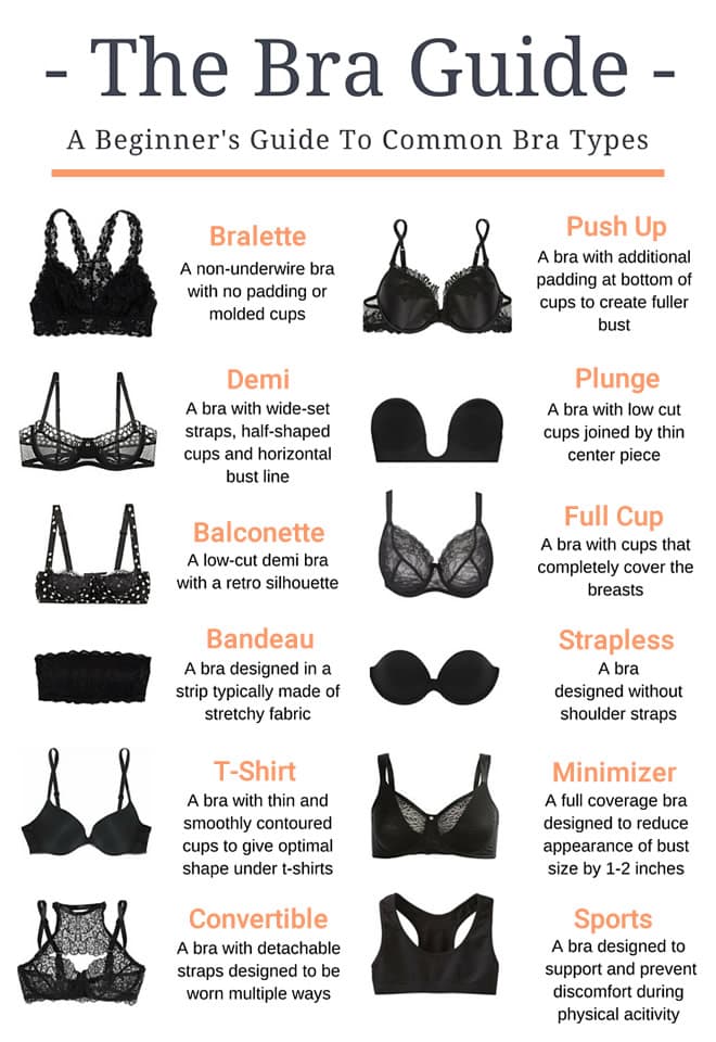 GUIDE TO BRA SHAPES – 247 Frenzy